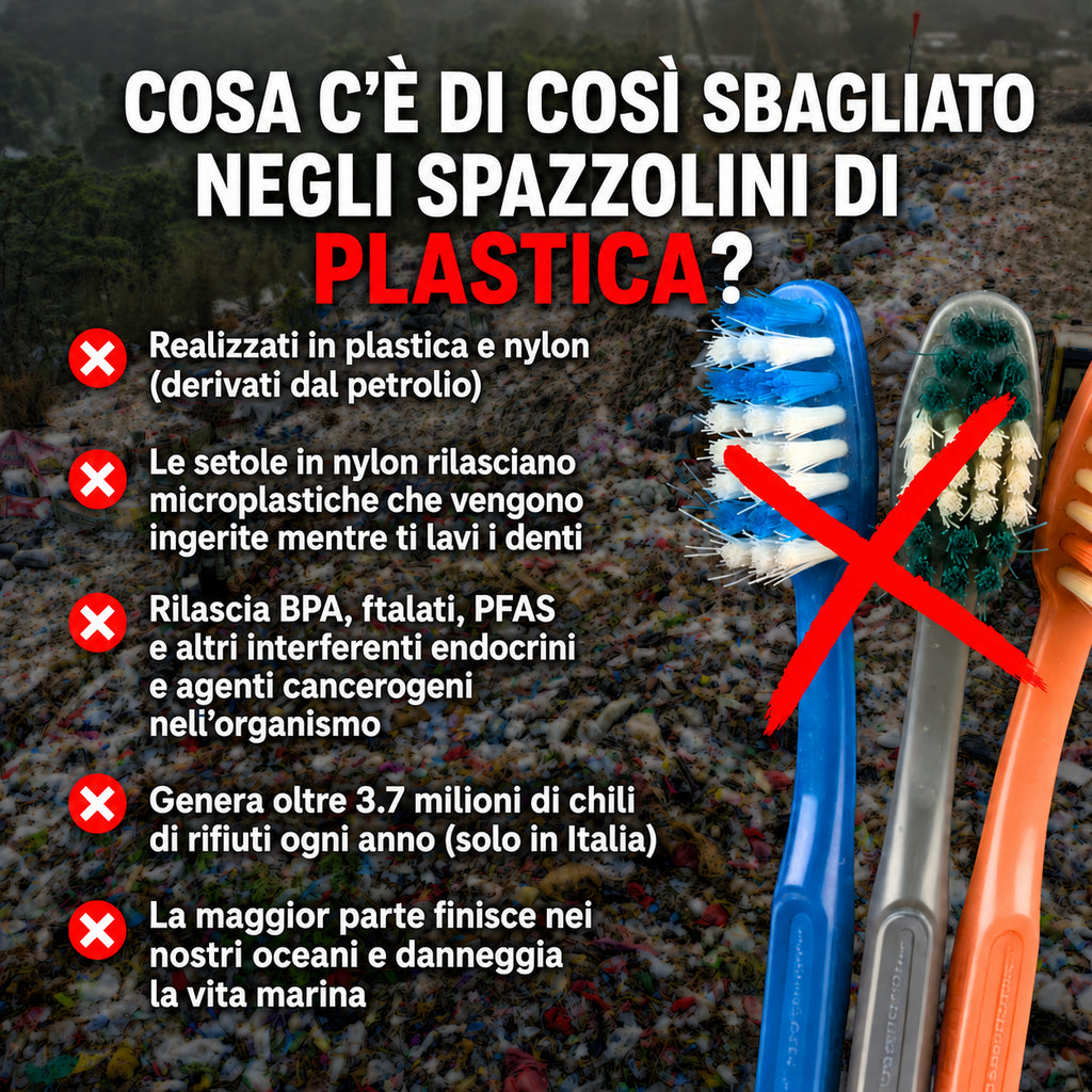 ORIGINI Spazzolino in Setole di Cinghiale e Bambù (Confezione da 4)
